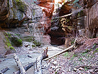 Colorful narrows