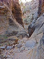 Bushy narrows of Bitter Creek