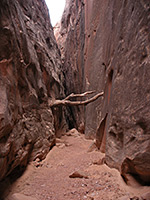 Log above the streambed