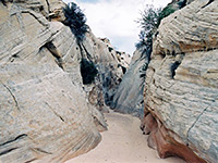 Upper part of the canyon