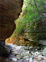 Buckhead Point Canyon