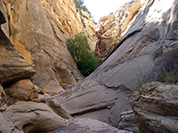 The lower canyon