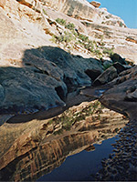 Pool in the lower canyon