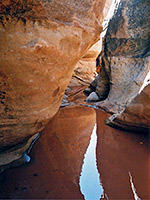 Muddy pool