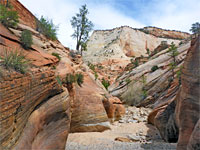 Clear Creek