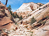 The upper canyon