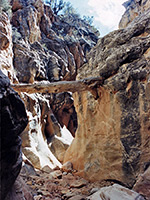 Log wedged in the upper narrows