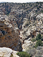 The upper canyon