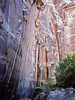 Coconino sandstone cliffs