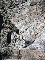 Limestone narrows