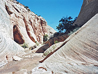 Shallow canyon