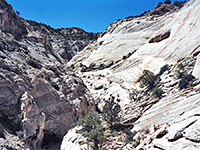 High above the first narrows