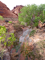 Stream near the picnic area