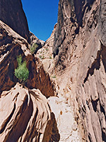 Below the narrows