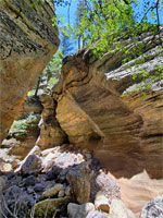 Thin-layered sandstone