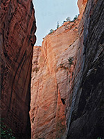 Red cliffs