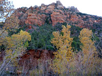 Cliffs and cottonwoods