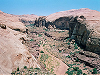 photograph