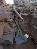 Log jam in White Canyon