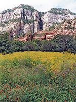 Meadow near the trailhead