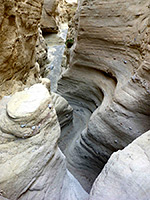 Palm Wash; Middle Fork, Main Branch