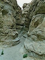 Entrance to the narrows