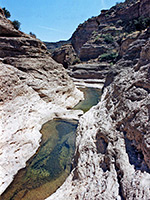 Milkweed Canyon