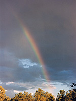 Rainbow near Mineral Gulch