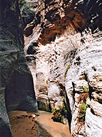 Stream near the end of the canyon