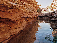 Pool in the west fork