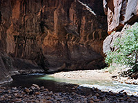 Zion Narrows