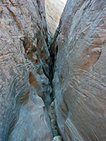 Shillelagh Canyon