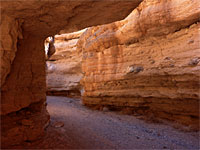 Orange canyon walls