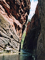 The Virgin River