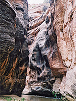 Parunuweap Canyon