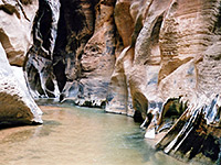 Parunuweap Canyon