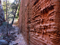 Vertical cliff in Pole Canyon