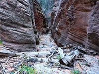 Logs and boulders