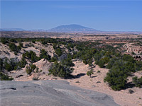 Navajo Mountain