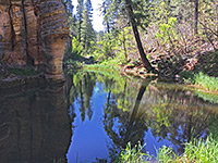 Reflections on a pool