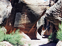 Rock Canyon