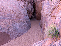 Sandy streambed