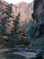 Hikers below the Subway