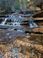 Cascade and pools