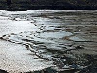 Mud flats at lakeside