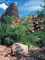 Boulder by the stream