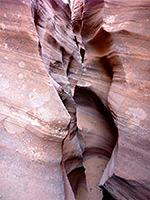 Trachyte Point Canyon