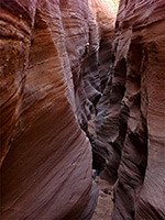 Trachyte Point Canyon