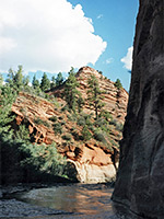 East Fork of the Virgin River