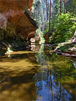 Pool and overhanging cliff